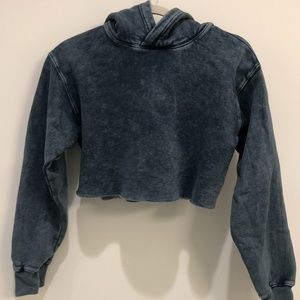 Aritzia Cropped Hoodie